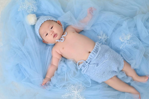 白沙宝宝树怎么样